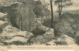 CPA Forêt De Fontainebleau-Sentier Des Mastodontes-Promenade De La Tour Denecourt-354     L2278 - Fontainebleau