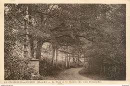 CPA La Chapelle Sur Oudon-La Croix Et Le Chemin Des Trois Demoiselles     L1466 - Sonstige & Ohne Zuordnung