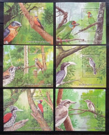 Sri Lanka 2021, Rare Birds, Songbirds, And Animals,6 MS MS MNH - Sri Lanka (Ceylan) (1948-...)