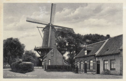 LES MOULINS A VENT - Molinos De Viento