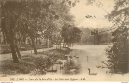 CPA Lyon-Parc De La Tête D'Or       L1116 - Autres & Non Classés