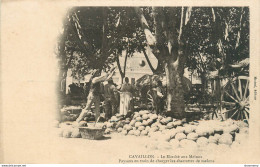 CPA Cavaillon-Le Marché Aux Melons-Paysans En Train De Charger Les Charrettes     L1696 - Cavaillon