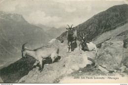 CPA Les Hauts Sommets-Pâturages-2039    L1703 - Autres & Non Classés