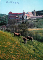 73269574 Wolfegg Pfarr Und Stiftskirche Wolfegg - Sonstige & Ohne Zuordnung