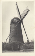 LES MOULINS A VENT - Windmills