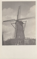 LES MOULINS A VENT - Windmills