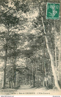 CPA Bois De Grosbois-L'allée Couverte-126 Bis-Timbre       L1729 - Autres & Non Classés