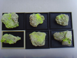 Lot De 6 Autunite - Infesta Mine, Viariz, Baião, Porto, Portugal - Minerali