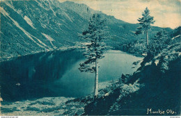 CPA Ploska-Morskie Oko-Beau Timbre        L1654 - Poland