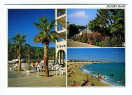 ARGELÈS PLAGE - Port-Argelès Et Sa Flore Méditerranéenne - La Promenade Des Pins - Argeles Sur Mer