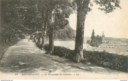 CPA Remiremont-La Promenade Du Calvaire-47     L1753 - Remiremont