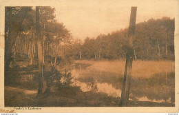 CPA Issaly's à Capbreton     L1505 - Capbreton