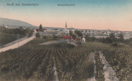 6705 DEIDESHEIM, Gesamtansicht Aus Den Weinbergen, 1919 - Deidesheim