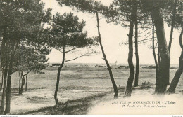 CPA Ile De Noirmoutier-L'épine-A L'orée Des Bois De Sapins     L1543 - Ile De Noirmoutier