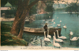 CPA Lyon-Le Parc De La Tête D'Or-Le Coin Des Cygnes-26    L2110 - Autres & Non Classés