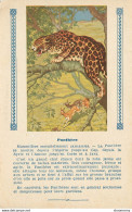 Carte Publicitaire-L'Express Teinture-Panthère      L1427 - Advertising