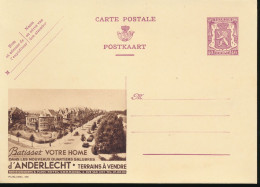 BELGIUM PPS 40C BROWN "SCEAU D'ETAT" SBEP 8 PUBLIBEL 366 UNUSED - Werbepostkarten