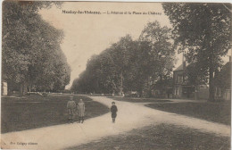 Meslay-le-Vidame -Avenue Et Place Du Château -   (G.2633) - Autres & Non Classés