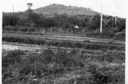 Photographie Photo Vintage Snapshot Colline Sancerre Tracy - Luoghi