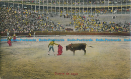 R012386 Suerte De Capa. B. Hopkins - Welt