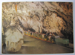 SLOVENIE - POSTOJNSKA JAMA - Grotte - Slowenien