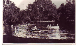 68 - MUNSTER - LE PARC - ANIMÉE - - Munster