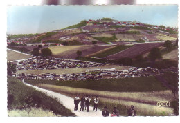 18 - FONTENAY-SAINT-SATUR - LE PARC à VOITURES Des CAVES DU CLOS LA PERRIERE - ANIMÉE - AUTOMOBILE - COLORISÉE - Altri & Non Classificati