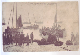 29 - DOUARNENEZ - LE REPOS APRES LA VENTE DE LA MARÉE - ANIMÉE - - Douarnenez