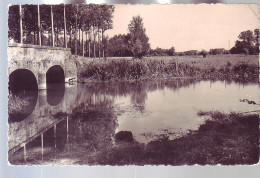 37 - NOIZAY - PONT Sur La CISSE - - Autres & Non Classés