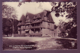 45 - SAINT-AUBIN - CHÂTEAU De La PAPINIERE - - Autres & Non Classés