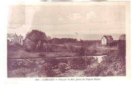 50 - CAROLLES - La MER VUE Du PIGNON BUTOR - - Autres & Non Classés