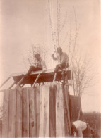 Photographie Photo Vintage Snapshot Cabanon Construction Build Arbre Campagne - Anonieme Personen
