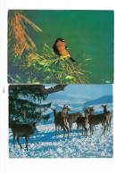 Lot De 8 Cartes Postales"Animaux". - Sammlungen & Sammellose