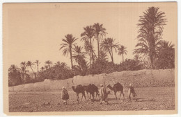 34. Bou-Saada - Caravane Dans L'Oued. - (l'Algérie) - Coll. Artistique 'L'Afrique - R. Prouho - Hussein-Dey - Sonstige & Ohne Zuordnung