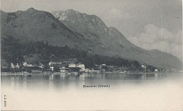 X111850 SUISSE VALAIS BOUVERET COMMUNE VUE DU LAC LEMAN PRECURSEUR AVANT 1904 - Autres & Non Classés