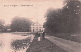 Brasschaat - BRASSCHAET - Polygone - Chateau Mick - Brasschaat