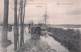 HAMME - Overstroomingen Van Maart 1906 - Inondations De Mars 1906 - Hamme