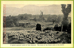 Ae9191 - NEW ZEALAND - VINTAGE POSTCARD-The Home Of The Finest Lamb In The World - Nueva Zelanda
