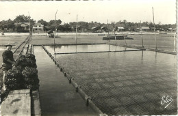 Bassin D Arcachon Reserves A Huitres - Arcachon