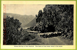 Ae9192 - NEW ZEALAND - VINTAGE POSTCARD-The Home Of The Finest Lamb In The World - Nueva Zelanda