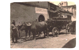 SALONICA 1917 - PHOTO CARD - CHAR A BOEUFS - ATTELAGE De LIVRAISON - Griechenland