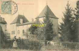 71  Uchizy, Le Chateau De Grenaud, Famille Et Vaches En Avant ..., Affranchie 1906 - Autres & Non Classés