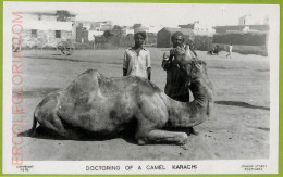 Ae9207 -  PAKISTAN -  VINTAGE POSTCARD - Karachi - Doctoring Of A Camel - Pakistan