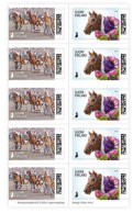 Finland Finnland Finlande 2024 100 Years Of Royal Trots Horses Sheetlet / Booklet MNH - Blocks & Kleinbögen