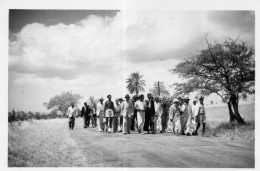 Photographie Photo Vintage Snapshot Crémation Indienne Ile Maurice  - Orte