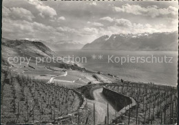 11654840 Lac Leman Genfersee Vignoble De Lavaux Genf - Otros & Sin Clasificación