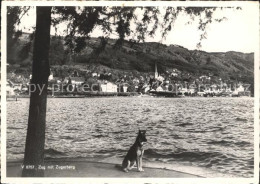 11654809 Zug ZG Mit Zugerberg Schaeferhund Zug - Altri & Non Classificati