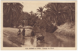 1230. Scenes Et Types - Passage De L'Oued. - (l'Algérie) - Autres & Non Classés