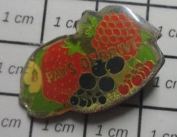 1818A Pin's Pins / Beau Et Rare / ALIMENTATION / FRUITS PAYS DE BRIVE FRAISE FRAMBOISE PRUNES CERISES - Levensmiddelen