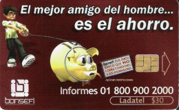 Mexico: Telmex/lLadatel - 2006 Bansefi. Calendar - Messico